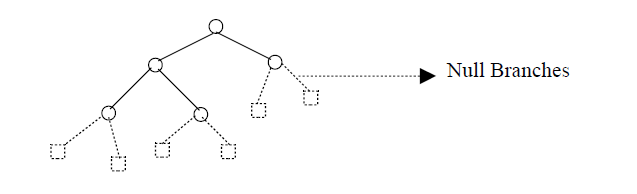NULL_Branches_Binary_Tree